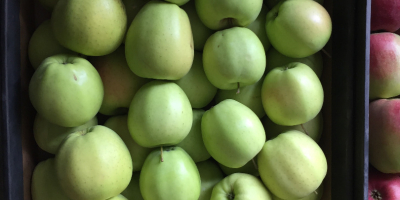 Venderé una manzana orgánica con certificado de postre y