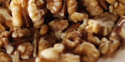Vendo nueces cascadas de este año, precio negociable, colección