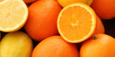 Disponemos de una variedad tipos: de Naranjas, Valencia, Nectarinas,