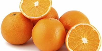 Disponemos de una variedad tipos: de Naranjas, Valencia, Nectarinas,