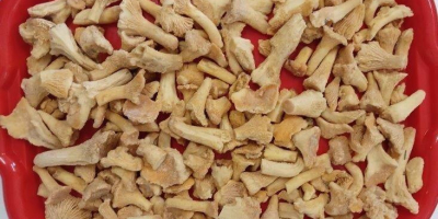 Ofrecemos manzanas de calidad de exportación de las variedades