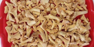 Ofrecemos manzanas de calidad de exportación de las variedades