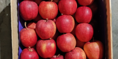 Venderé una manzana preparada por encargo. Puedo preparar cada