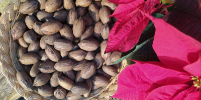 Las pecanas son un alimento que se presta para