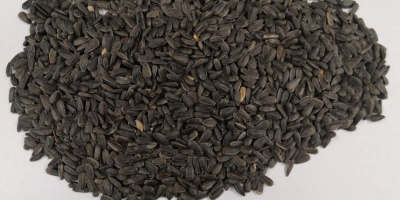Semillas de girasol negras (con cáscara). Fabricado en Ucrania