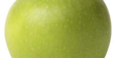 Manzanas reales frescas seleccionadas de muchos tipos y variedades