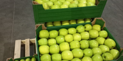 Ofrecemos a la venta manzanas de Idared, Jonaprince, Golden,