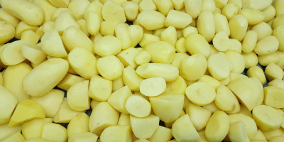 Patatas peladas, envasadas al vacío. Color amarillo, variedades de
