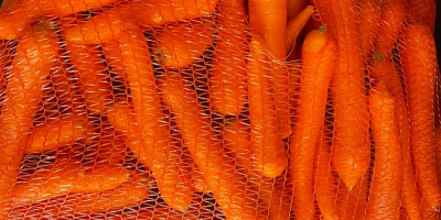 Zanahoria sin lavar, origen- Grecia. El precio es de