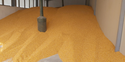 Maíz en grano, producción 2023, carga rápida desde la