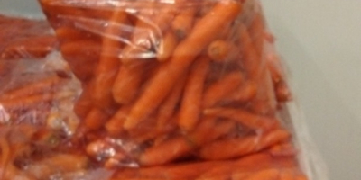 Zanahorias de primera clase, origen Serbia, paquete de 5
