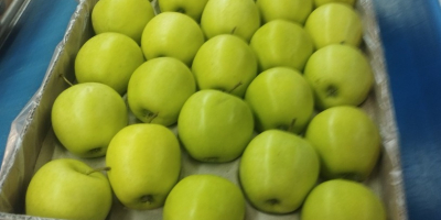 Manzana Golden delicious I clase para salle. contacto: