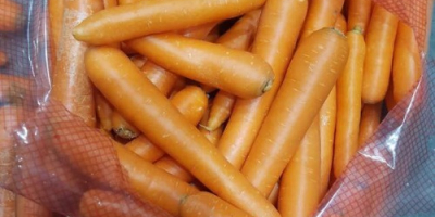 Zanahorias de la mejor calidad. Contacto de producción griega