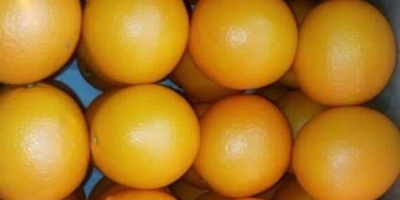 Naranja valencia maroc late cat 1 Tipo de embalaje: