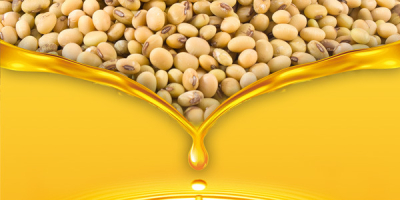 MarculestiCombi SA también ofrece cereales para la exportación: •trigo