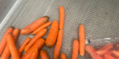 Hola vendo zanahorias tiernas en bolsas de plastico para