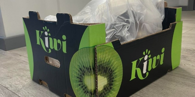 Somos productores de kiwi y la empresa que fundamos