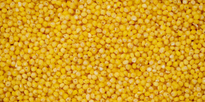 Ofrecemos cereales del fabricante: trigo sarraceno verde, guisantes amarillos
