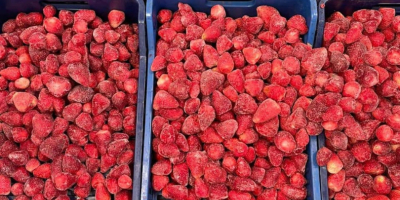 FRESA CONGELADA Ofrecemos fresas congeladas de la más alta
