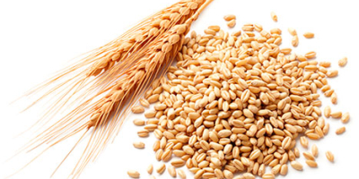 Venta de trigo, maíz, cebada, soja. Origen: Ucrania y