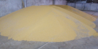El productor agrícola vende mostaza blanca envasada en Big