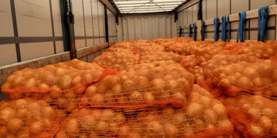 La empresa polish-vegetables.eu ofrece cebollas de calibre 50+ en