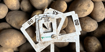 Vendo papas a granel (en bolsas grandes), más de