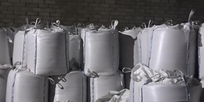 Vendemos guisantes madrás (big bags), lote 2023, 100 toneladas
