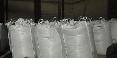 Vendemos guisantes madrás (big bags), lote 2023, 100 toneladas