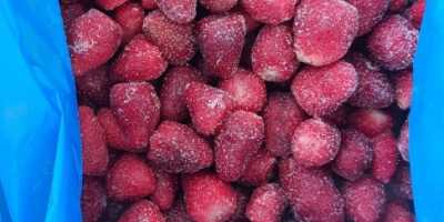 Fresas congeladas IQF grado A sin calibrar y sin