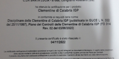 ZB SRL CLEMENTINA CALIBRE 1 IGP (indicación geográfica protegida)