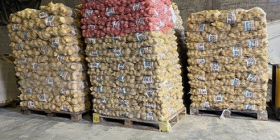 Disponemos de 125 toneladas de patatas amarillas alemanas en