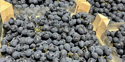 Deléitese con el rico sabor de las uvas de