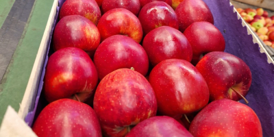 Venderé manzanas de consumo de KA. + Variedades frescas