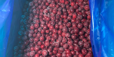 exportación de cerezas congeladas de Uzbekistán