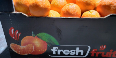 Изпитайте цитрусово щастие през цялата година с портокали Валенсия!