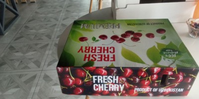 La exportación de cerezas frescas de Uzbekistán comienza en