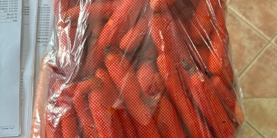 пресни моркови