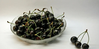 Cerezas negras amargas. Cantidad disponible aproximadamente 500 kilogramos.