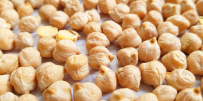 Venderé garbanzos comestibles, fracción 5-6, en bolsas de 50kg