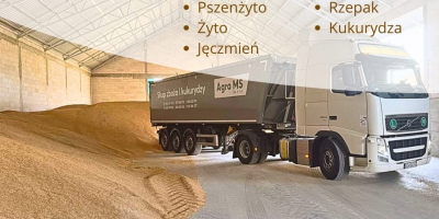 Compramos granos: trigo, triticale, centeno, avena, colza y maíz