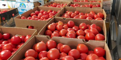 Desde el pueblo de Matca, la mayor zona agrícola,