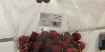 Venta de cerezas congeladas con hueso y tallo. La