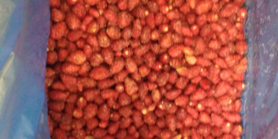 Venderé fresas silvestres congeladas de clase extra de mi