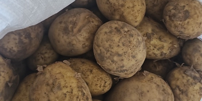 Hola, tengo papas en bolsas grandes y en bolsas
