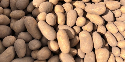 Hola, tengo papas en una bolsa grande y en