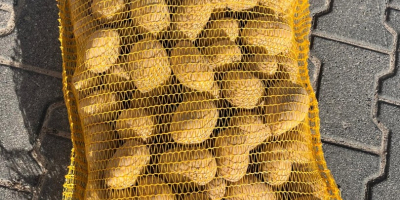 Hola, tengo papas en una bolsa grande y en