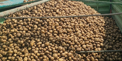 Hola tengo papas en bolsa grande y bolsa, si