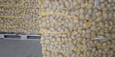 Hola, tengo papas en una bolsa grande y en