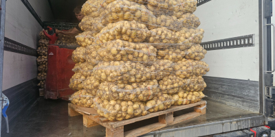 Hola tengo papas en bolsa grande y bolsa, si